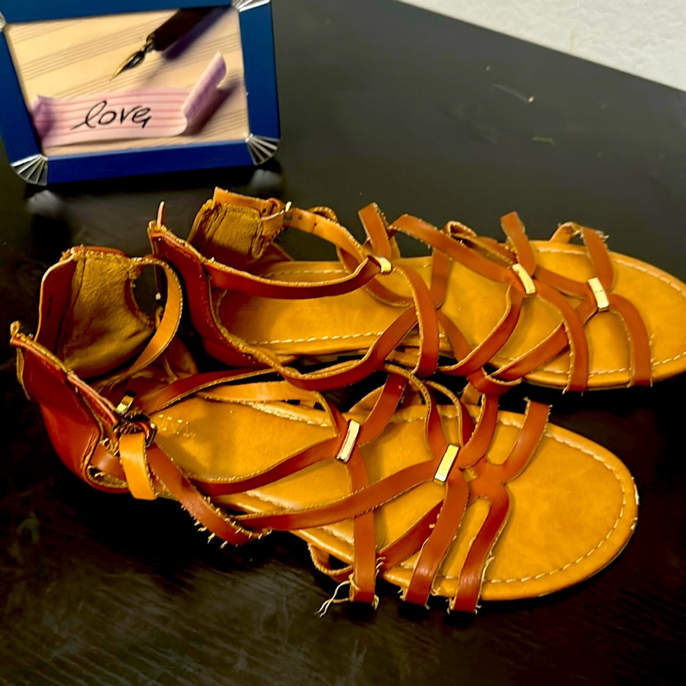Brown MERONA Gladiators